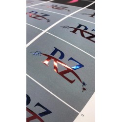 BV Doppia Nobilitazione
