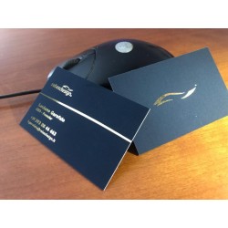 BV Doppia Nobilitazione
